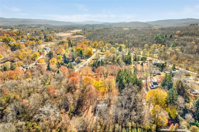 drone / aerial view featuring a mountain view