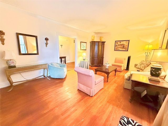 living room with hardwood / wood-style floors