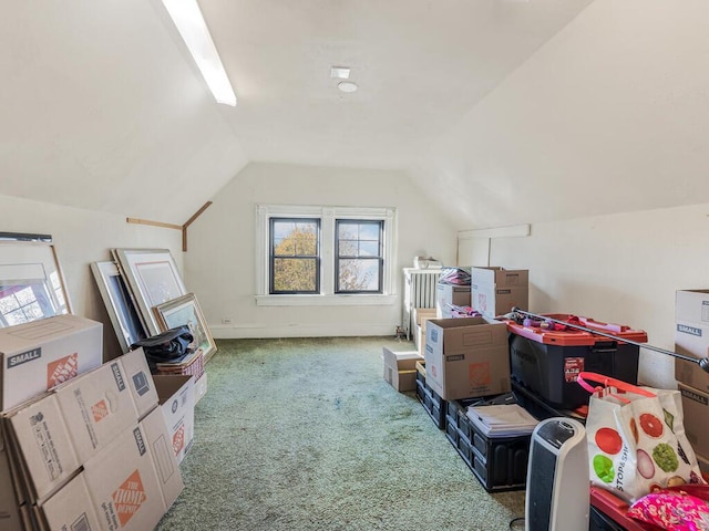 additional living space with carpet flooring and vaulted ceiling