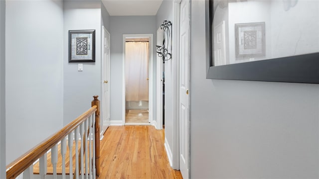 hall featuring light hardwood / wood-style flooring