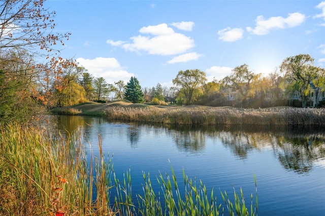 property view of water