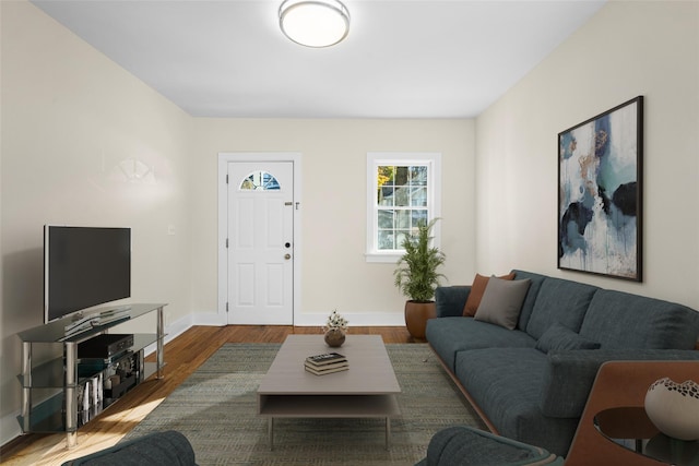 living room with dark hardwood / wood-style floors