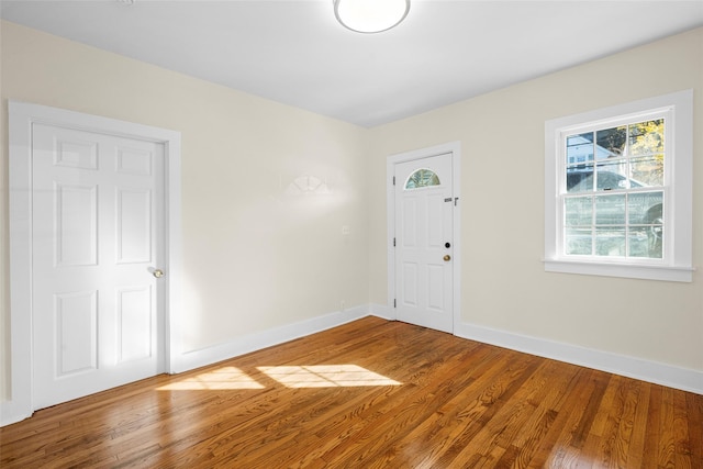 entrance foyer featuring wood-type flooring