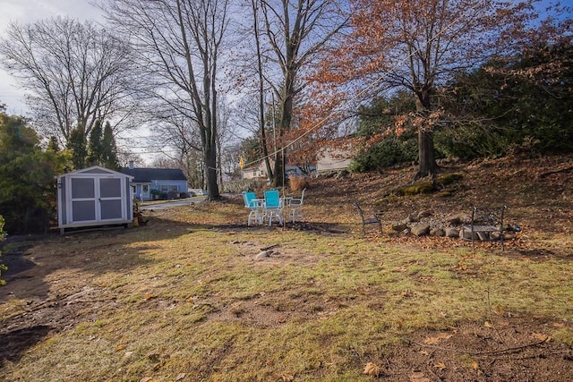 view of yard with a storage shed