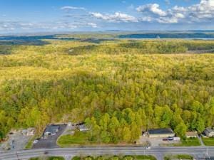 TBD Ulster Ave, Ulster Park, NY 12487