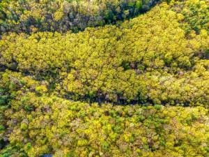 TBD Ulster Ave, Ulster Park, NY 12487