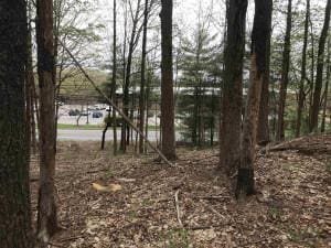 TBD Ulster Ave, Ulster Park, NY 12487