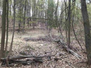 TBD Ulster Ave, Ulster Park, NY 12487