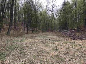 TBD Ulster Ave, Ulster Park, NY 12487