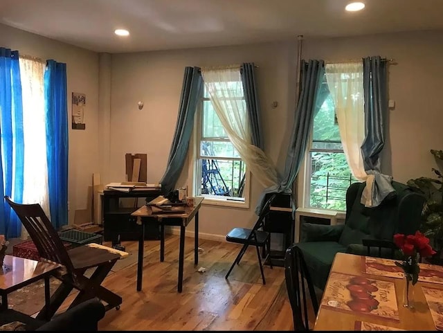 living area featuring wood-type flooring