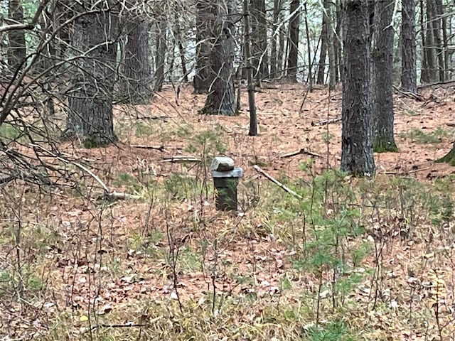 Haring Rd, Barryville, NY 12719