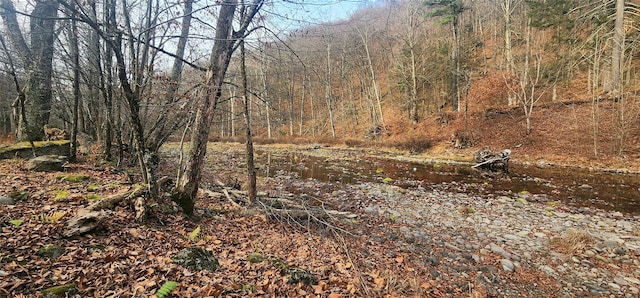 view of landscape