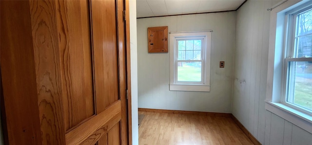 spare room with wood walls, a healthy amount of sunlight, and light hardwood / wood-style flooring