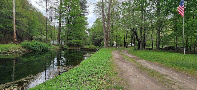71 Peekamoose Rd, Sundown, NY 12740 - view of dirt / gravel driveway with a forest view