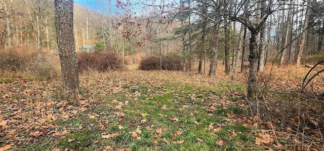 71 Peekamoose Rd, Sundown, NY 12740 - view of wooded area