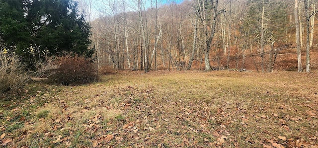 71 Peekamoose Rd, Sundown, NY 12740 - view of yard featuring a wooded view