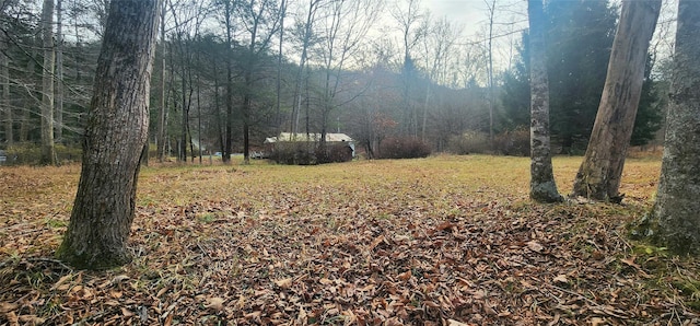 71 Peekamoose Rd, Sundown, NY 12740 - view of yard featuring a forest view