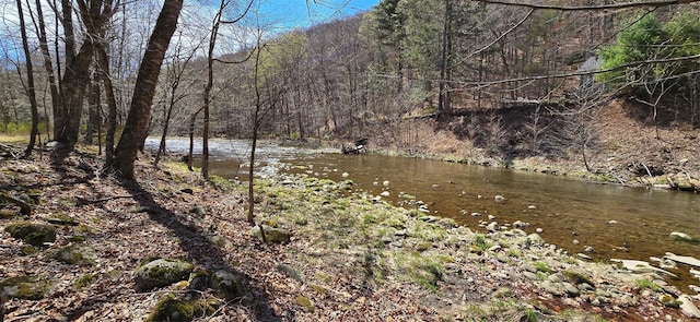 71 Peekamoose Rd, Sundown, NY 12740 - water view with a heavily wooded area