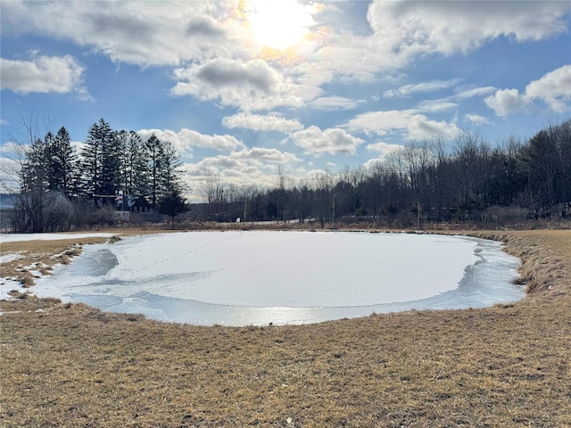 view of water feature