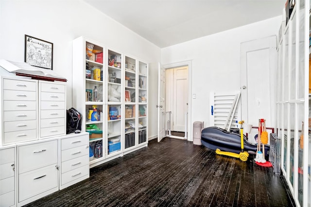 interior space with dark wood-type flooring