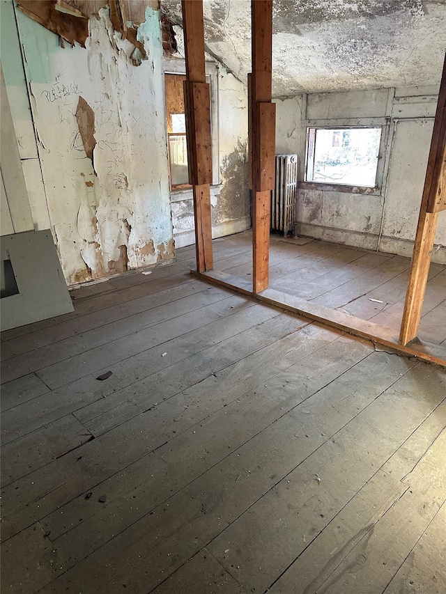 miscellaneous room with radiator and hardwood / wood-style floors