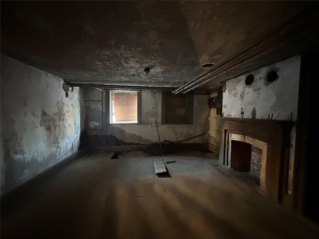 miscellaneous room with wood-type flooring