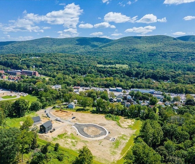 drone / aerial view with a mountain view