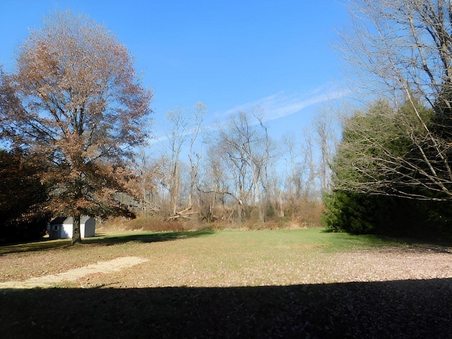 view of yard featuring a shed