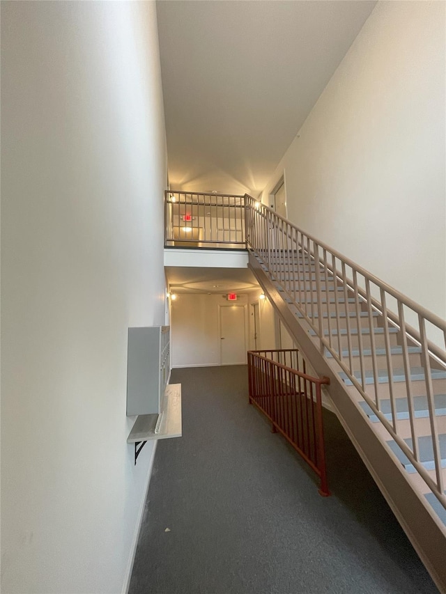 staircase featuring carpet floors