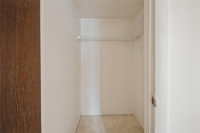 walk in closet featuring carpet flooring