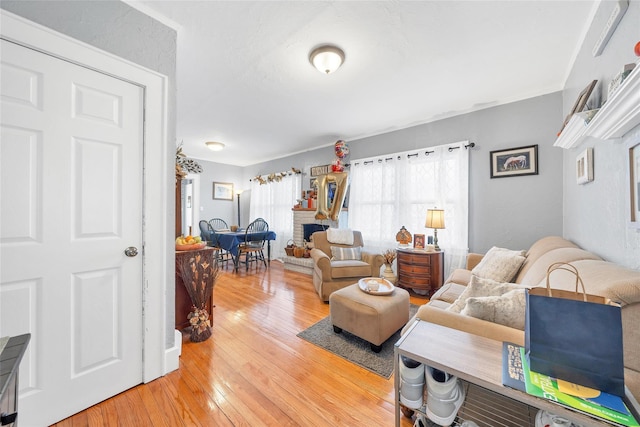 living room with a fireplace and hardwood / wood-style floors