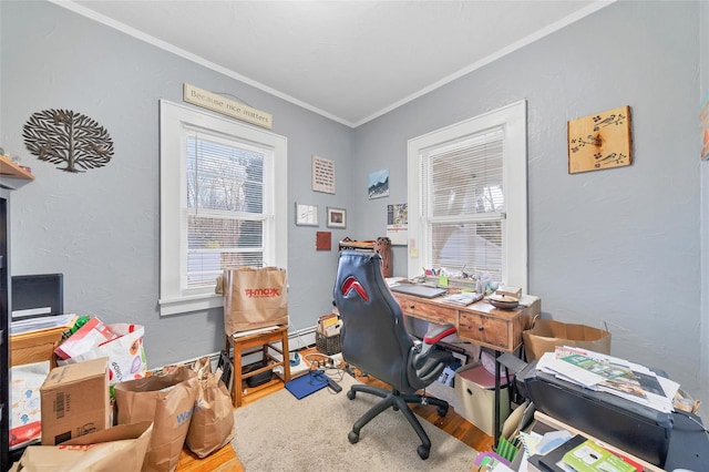 office area featuring hardwood / wood-style floors and crown molding