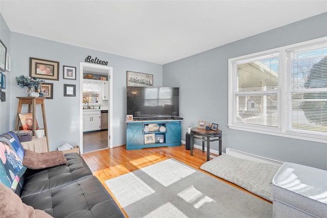 living room featuring hardwood / wood-style floors and sink