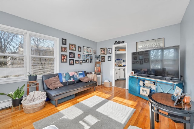 living room with hardwood / wood-style flooring