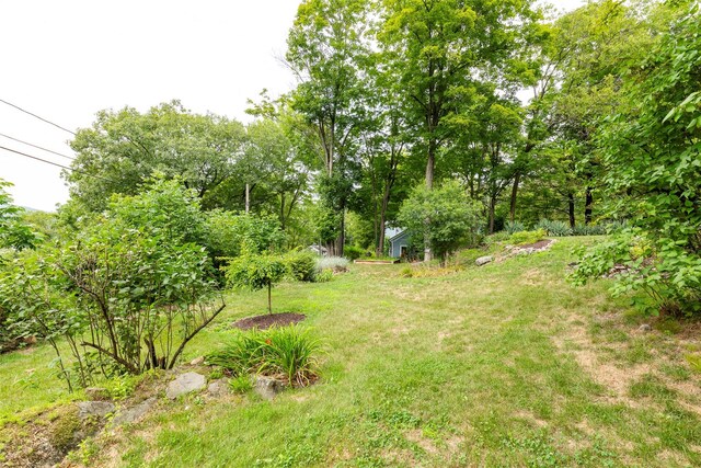 42 Curry Ln, Hyde Park, NY 12538 - photo 21
