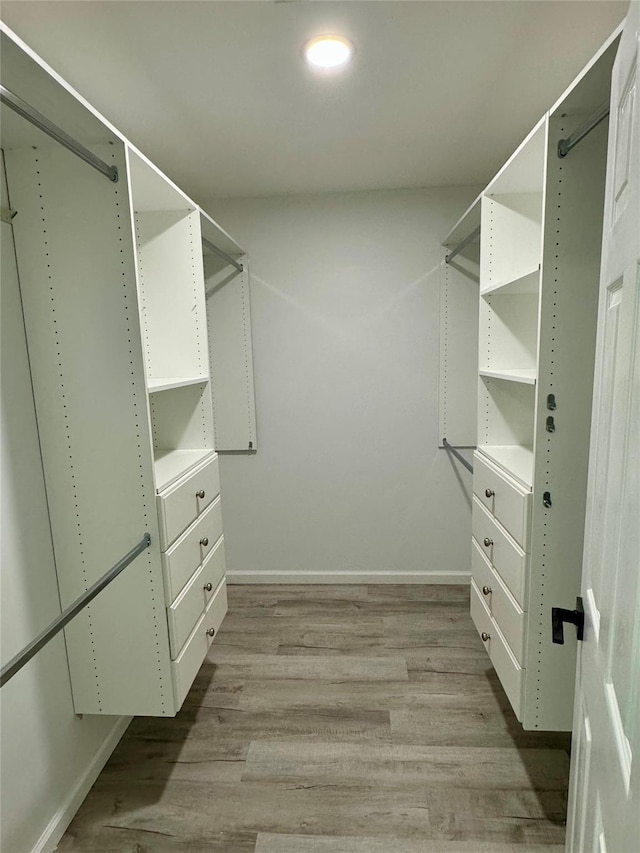 spacious closet featuring light hardwood / wood-style floors