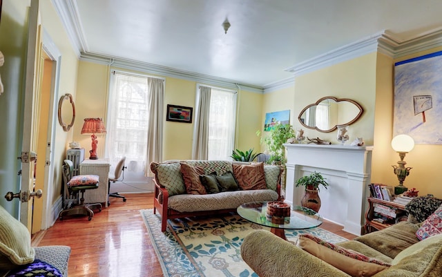 living room with crown molding and wood-type flooring