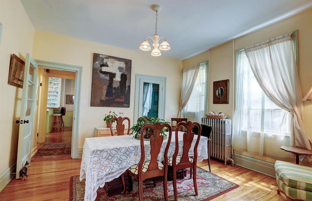 dining room with a notable chandelier, light wood-type flooring, and radiator heating unit