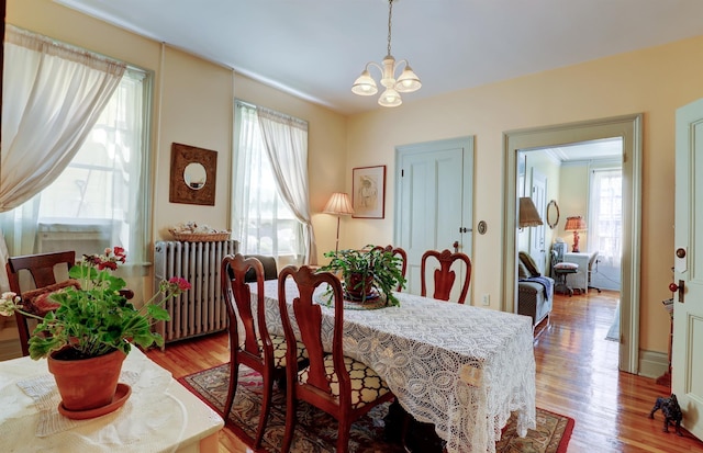 dining area with a notable chandelier, plenty of natural light, radiator, and light hardwood / wood-style flooring