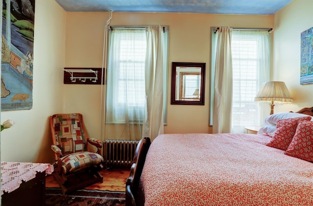 bedroom featuring radiator heating unit and multiple windows