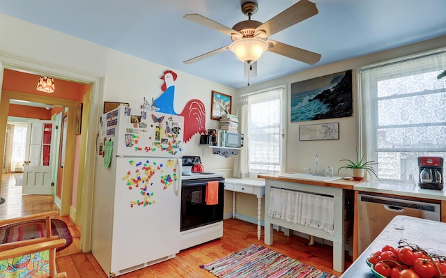 kitchen featuring light wood-type flooring, white appliances, ceiling fan, and sink