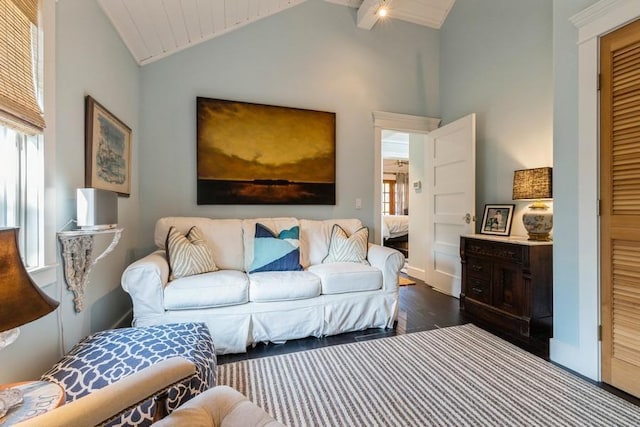 living room featuring high vaulted ceiling and dark hardwood / wood-style floors
