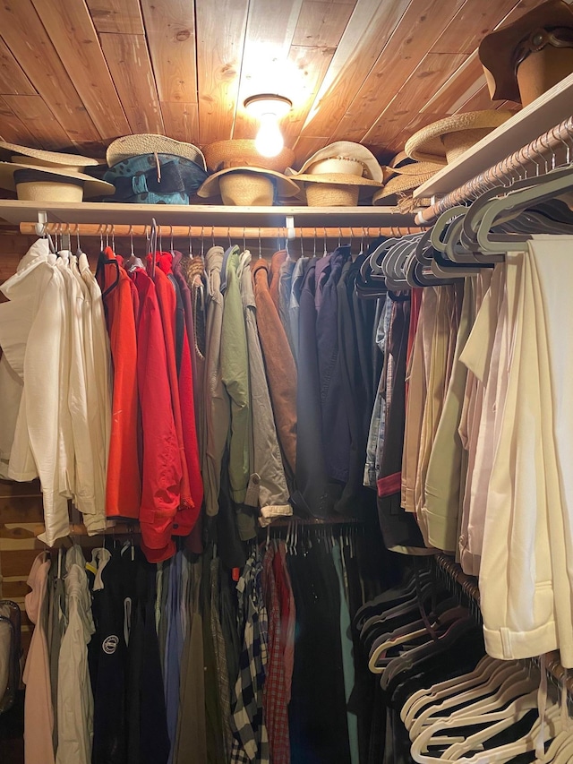 view of spacious closet