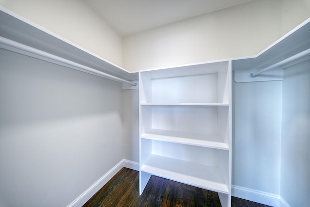 walk in closet featuring dark wood-type flooring