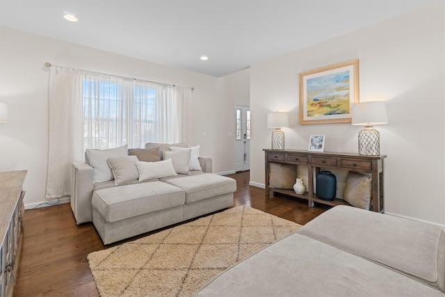 living room with dark hardwood / wood-style floors