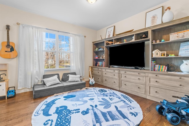 living area with dark hardwood / wood-style flooring