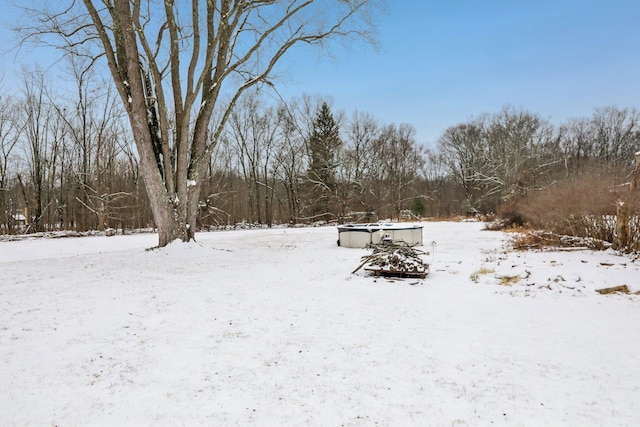 view of yard covered in snow