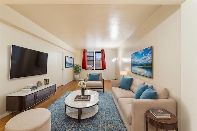 living room featuring hardwood / wood-style floors