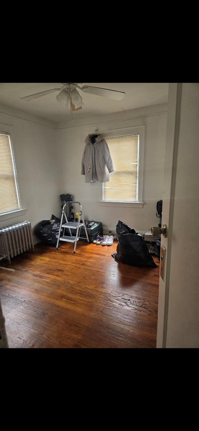 miscellaneous room featuring radiator and dark wood-type flooring