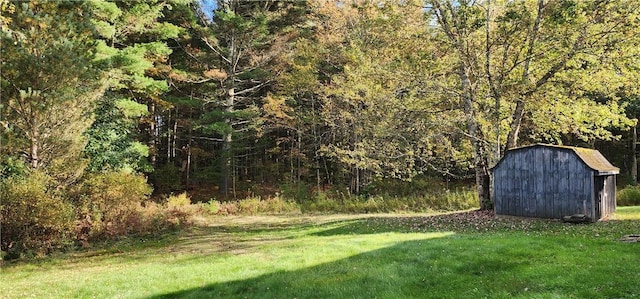 view of yard with a storage shed